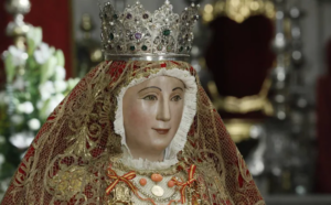 imagen_2024-12-02_091138906